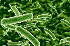 中央凈水器：獲得“純凈且適合人類(lèi)飲用”之水